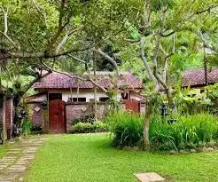 Rumah Asri Dekat Candi Borobudur – Investasi Wisata Menjanjikan