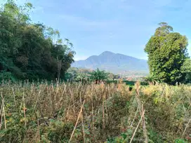 Tanah pemandangan gunung pengalengan air normal