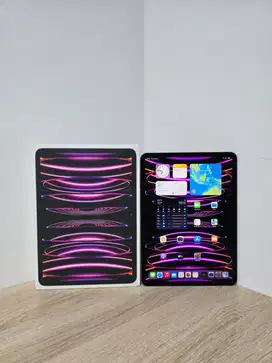 Apple iPad Pro M2 11 2022 Wifi Only 256GB 256 GB Fullset 4th Gen