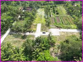Dekat Bandara YIA, Kavling Strategis SHM di Tawangsari Kulon Progo