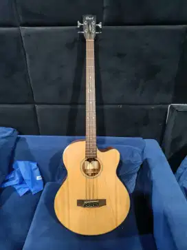 Bass Semi Akustik, NEGO