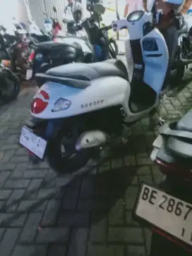 Scoopy 2025 pajak hidup surat lengkap plat kotamadya