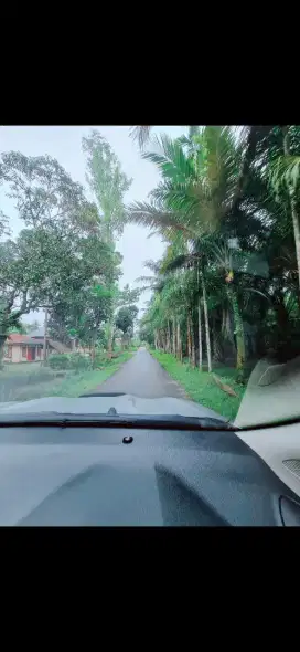 Jual Tanah Langkat