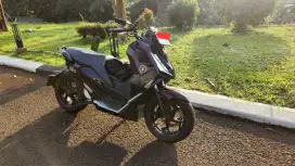 Alva Cervo 2023