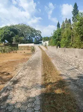 Dijual Tanah Di Citeko Cisarua Puncak