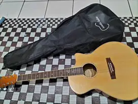 Gitar akustik elektrik