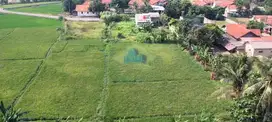 Jual Tanah di Desa Dangdeur, Jayanti,Tangerang - Banten