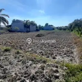 DIJUAL TANAH JALAN CINTA RAKYAT