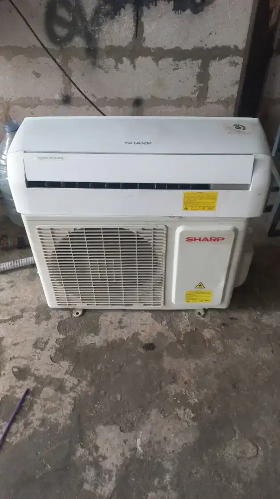 Ac sharp ½pk ucy