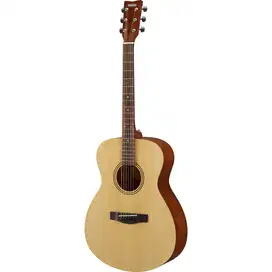 Gitar Akustik FS 400