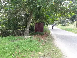 Tanah di Rumbai tepi jalan aspal 1700m2