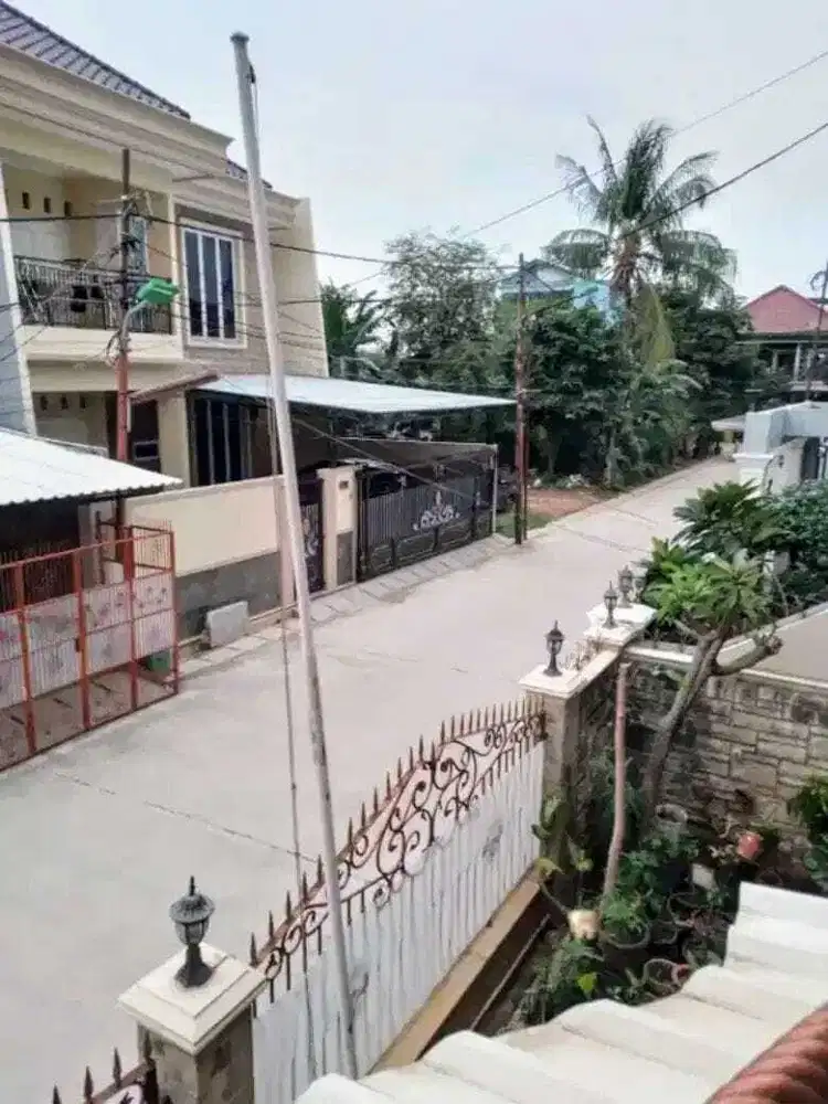 Mungkin ini yang kamu cari, duren sawit swadaya