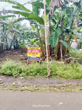 Dijual tanah murah strategis pinggir jalan desa
