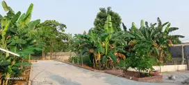 Disewakan Tanah Untuk Cafe atau Resto Cisauk Tangerang