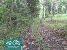 Jual Tanah Murah Di Cangkringan; 250 Rb/m Cocok Untuk Kandang & Invest