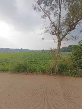 Dijual tanah luas dikawasan Banjaran Bandung