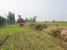 Tanah Strategis di Kota Dekat PG Kebonagung, Jl. Pakis & S. Supriadi