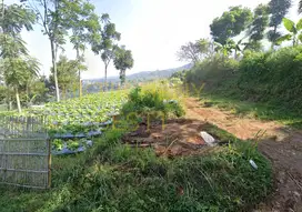 Tanah Luas dan lebar, Dekat Dago Giri View– Bandung
