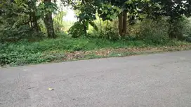 Jual tanah di Cisauk dekat BSD