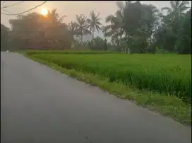 Jual tanah murah LT 1497m², shm,  nempel jln kabupaten