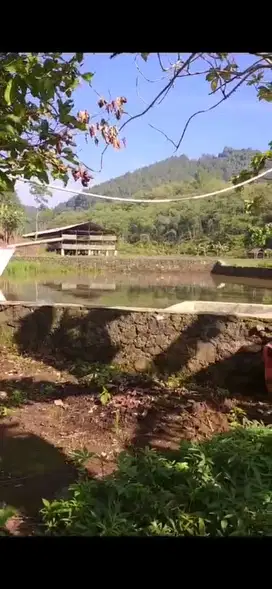 Luas 13 Hektar Lokasi Cijambe Subang