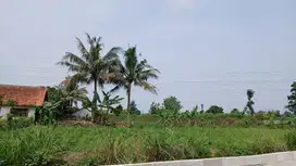 Tanah Bogor Murah Dekat Stasiun Cilebut Promo Perdana 180 Jt-an