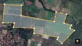 Dijual Murah Kebun Produktif jeruk peras di banyuwangi, Pinggir Jalan