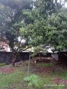 DIJUAL TANAH PLUS 2 BANGUNAN RUMAH