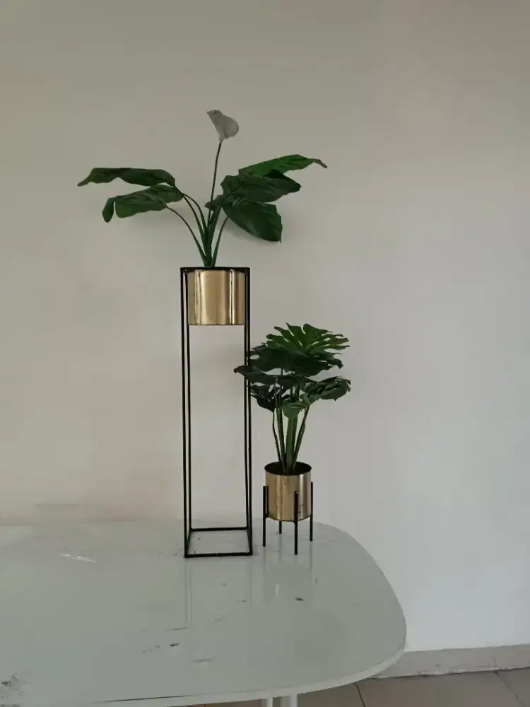 SET STANDING POT Termasuk Tanaman Imitasi Lily Monstera 140cm dan 75cm
