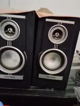 Speaker Polytron