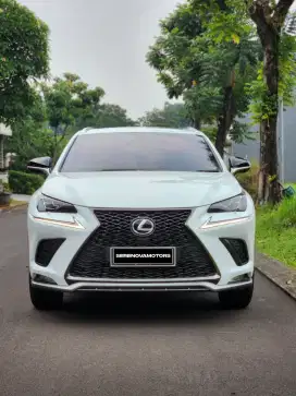 Lexus NX300 F-Sport 2020