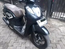 Honda genio tahun 2023