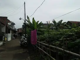 di jual tanan cepat dgn SHM