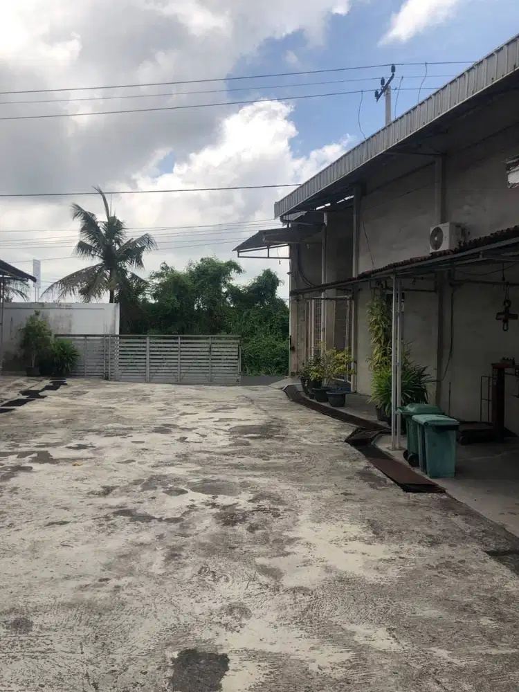 For sale, herbal medicine, food and essential oil factories in Bali