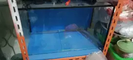 Dijual Aquarium