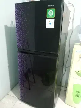 Kulkas sharp 2 pintu
