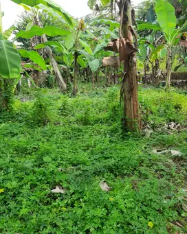 Jual tanah murah bekasi
