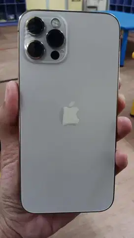 Iphone 12 Pro 256GB Gold Beacukai