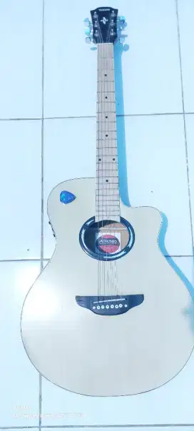 Gitar Yamaha Apx500