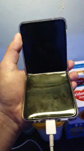 Samsung z flip 3