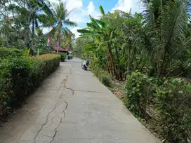 JUAL TANAH DI KREMBANGAN PANJATAN KULONPROGO