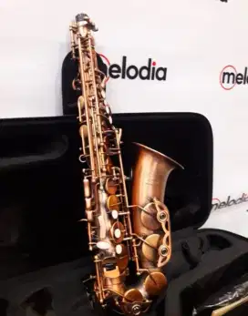 Saxophone Walker Was 710 HG Kredit DP 0 Tanpa Survey
