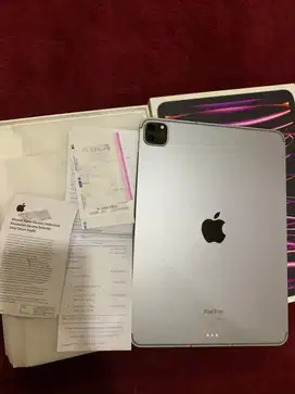 iPad Pro 11 inch Gen 4 M2 256gb Cellular iBox