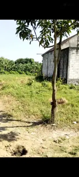 Dijual Tanah Kapling
