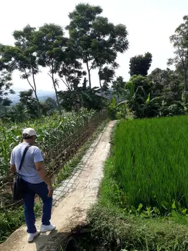 DIJUAL TANAH SHM HARGA MURAH DI JL. PAKALADEN CIJERUK BOGOR