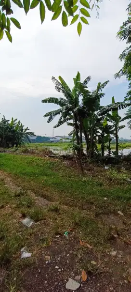 Dijual kavling siap bangun gudang/pabrik