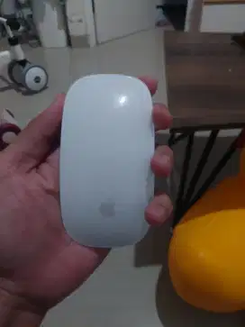 Magic mouse apple gen 2