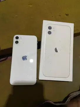Iphone 11 i box