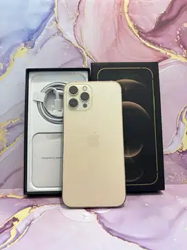 iPhone 12 Pro Max 256Gb Jual Murah Aja Nih