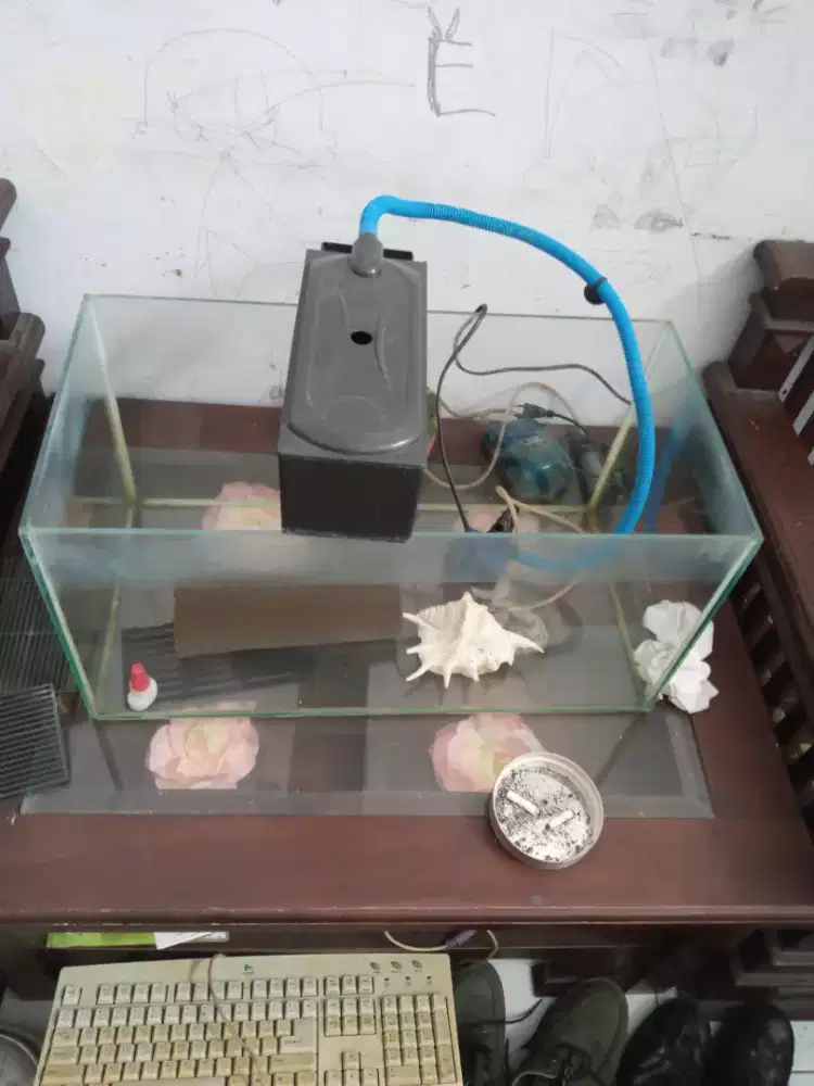 Aquarium ikan hias satu set lengkap.